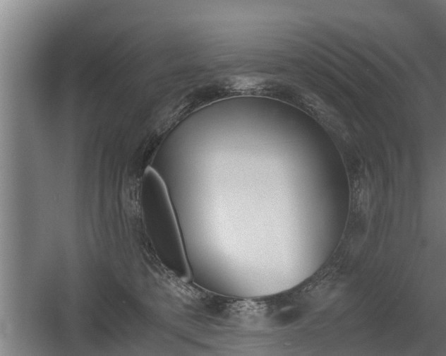 X0000060570421200511071024