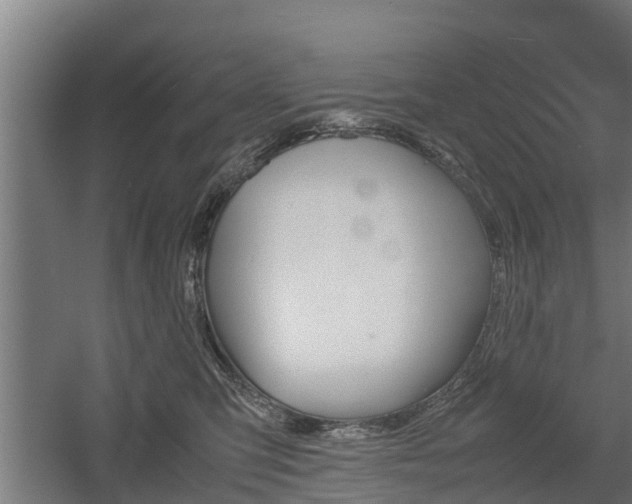 X0000060570423200511071024