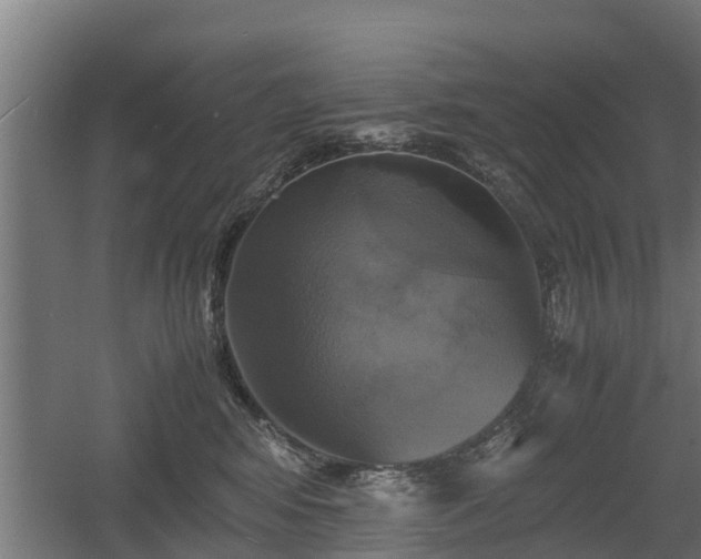 X0000060570424200511071024