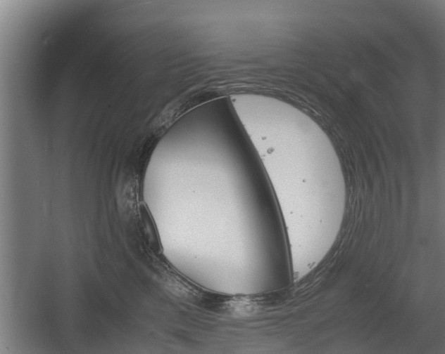 X0000060570425200511071024