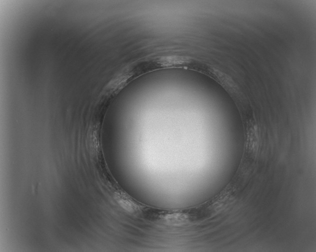 X0000060570426200511071024