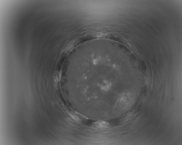 X0000060570427200511071024