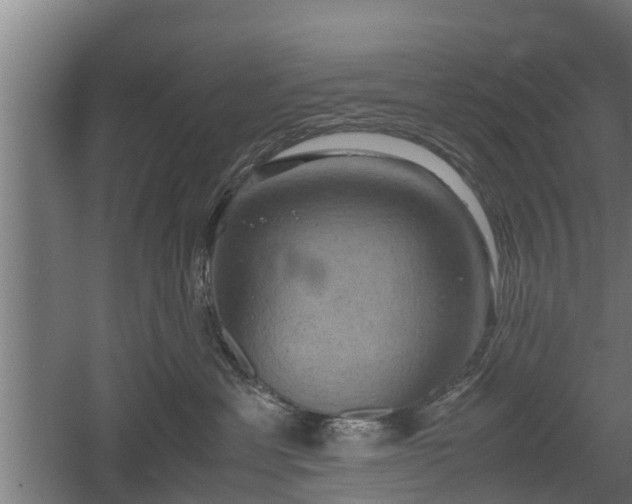 X0000060570429200511071024