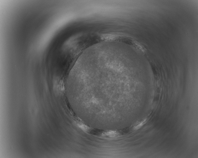 X0000060570431200511071024