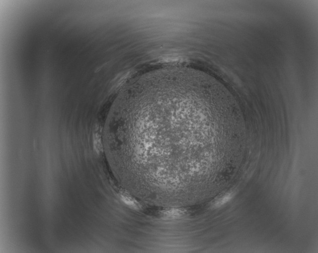 X0000060570432200511071024