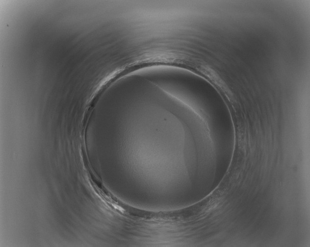 X0000060570434200511071023