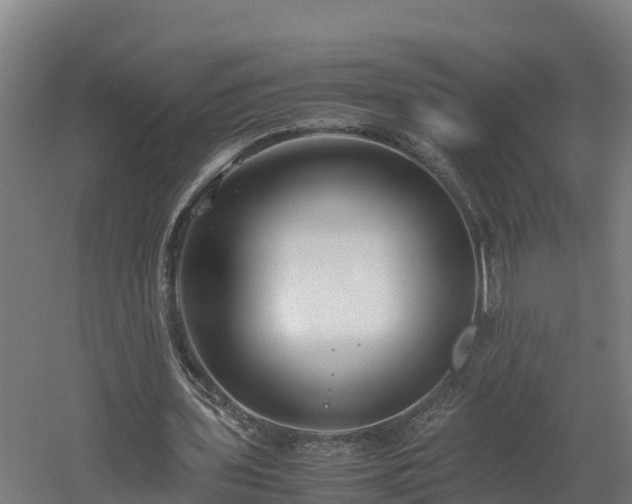 X0000060570435200511071023