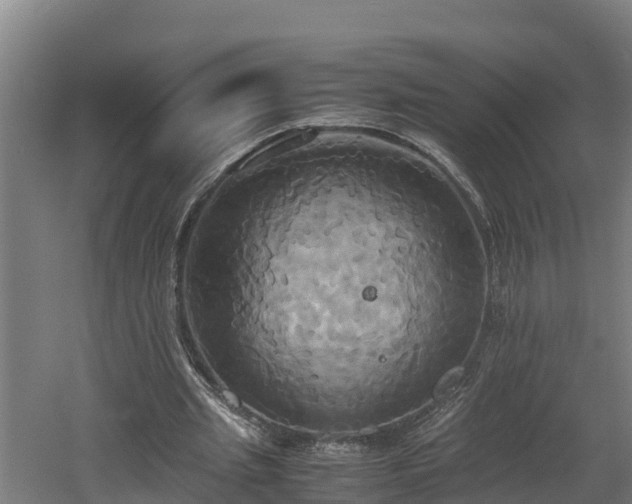 X0000060570437200511071023