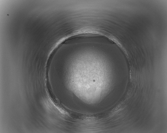 X0000060570438200511071023