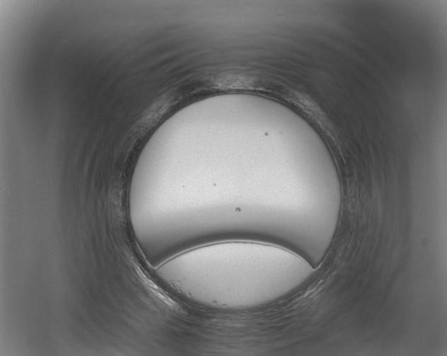 X0000060570441200511071023