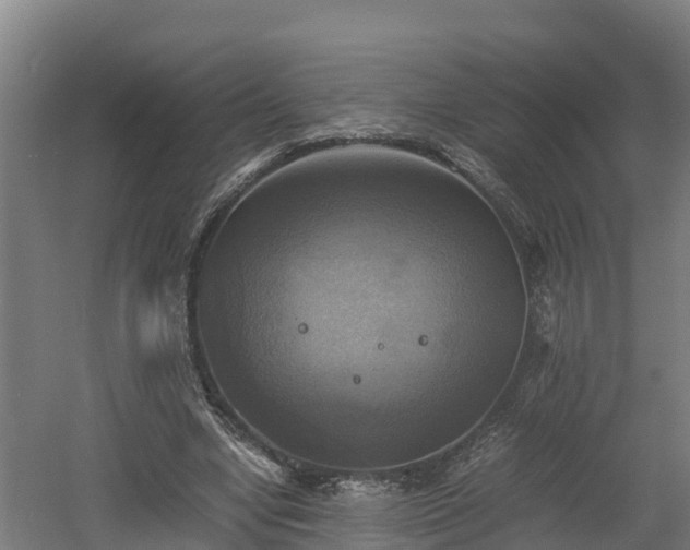 X0000060570442200511071023