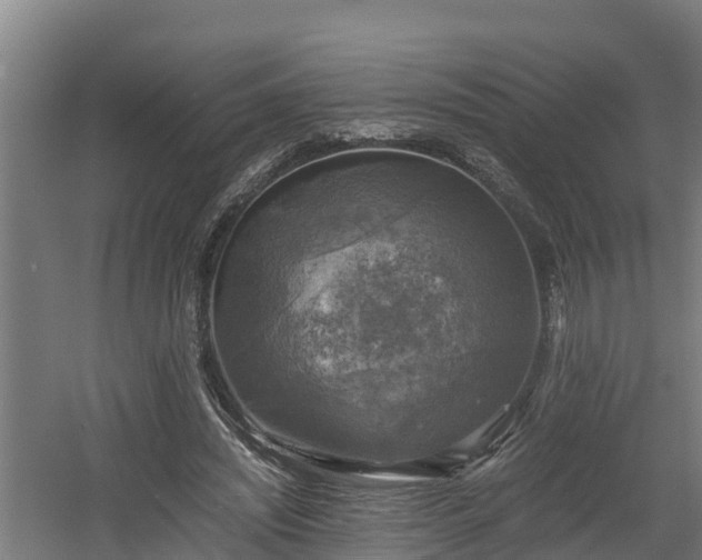 X0000060570444200511071023