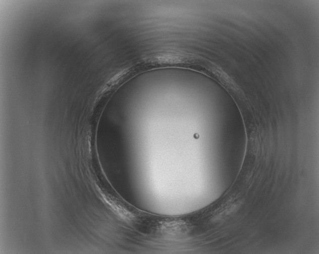 X0000060570446200511071023