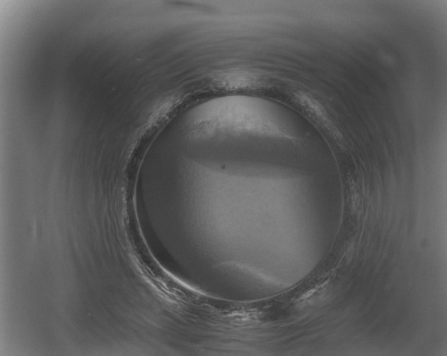 X0000060570447200511071023