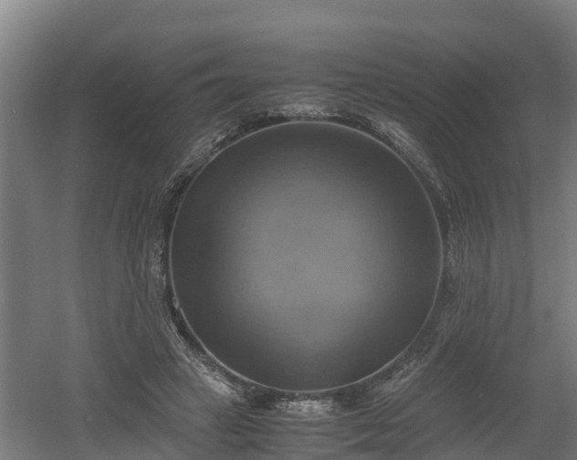 X0000060570449200511071023