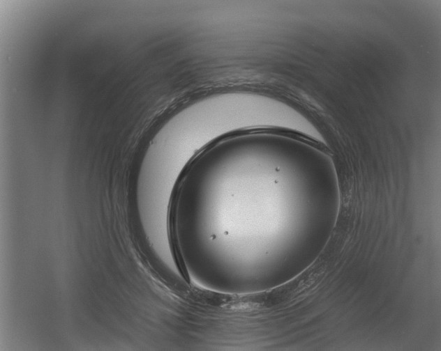 X0000060570452200511071023