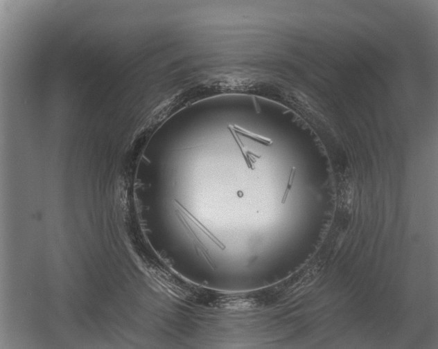 X0000060570456200511071023