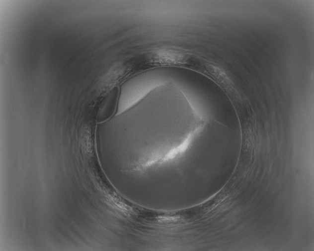 X0000060570457200511071023