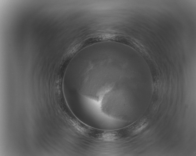 X0000060570462200511071024