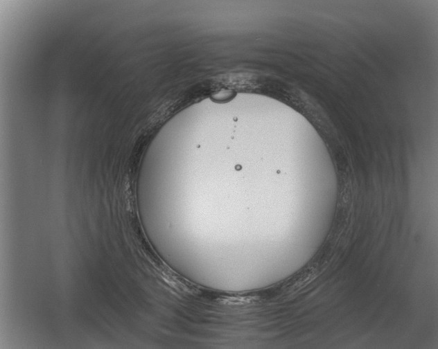 X0000060570465200511071024