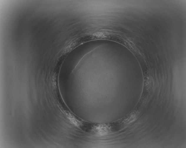 X0000060570466200511071024