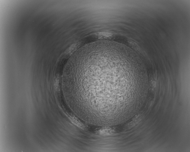 X0000060570468200511071024