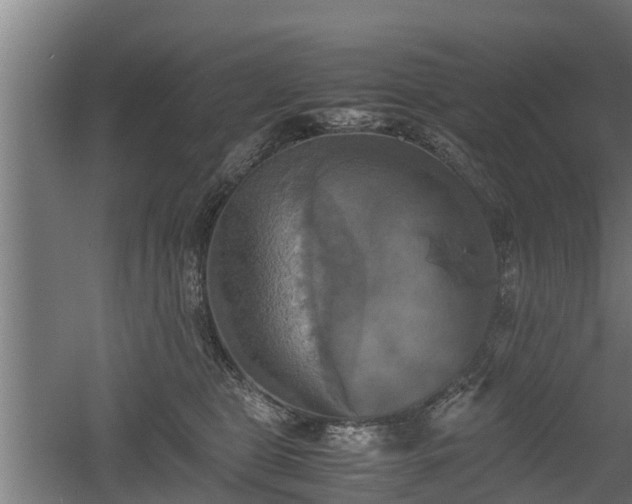 X0000060570469200511071024