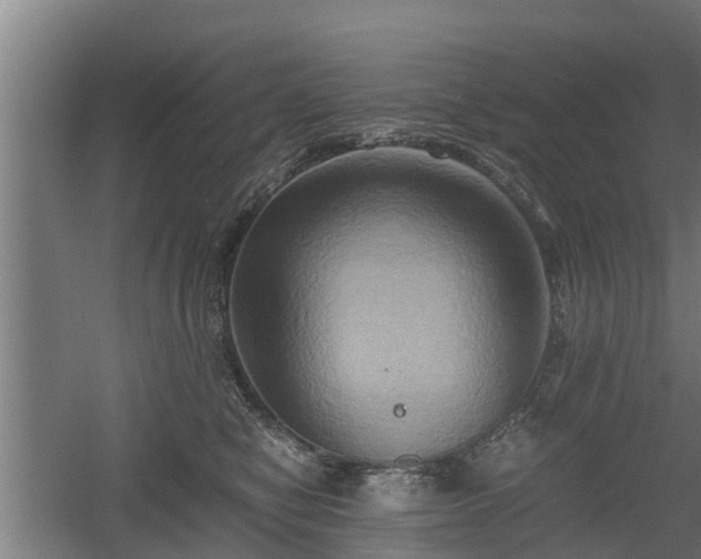 X0000060570470200511071024