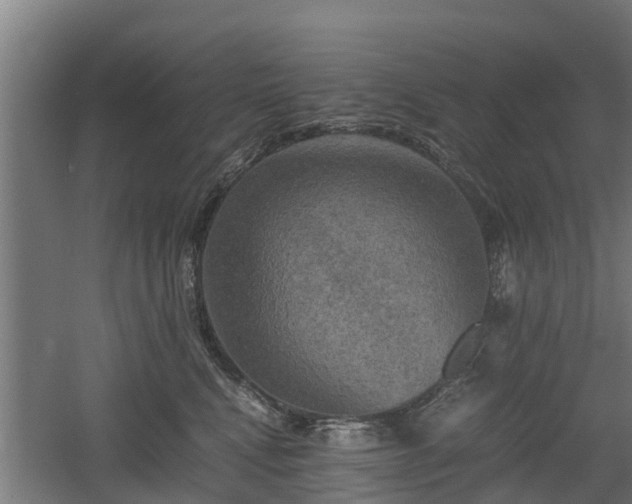 X0000060570472200511071024