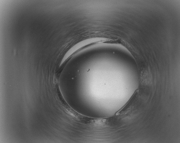 X0000060570474200511071024