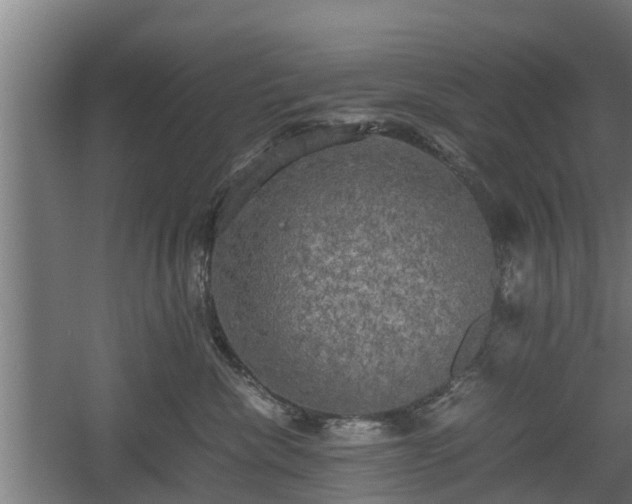 X0000060570476200511071024