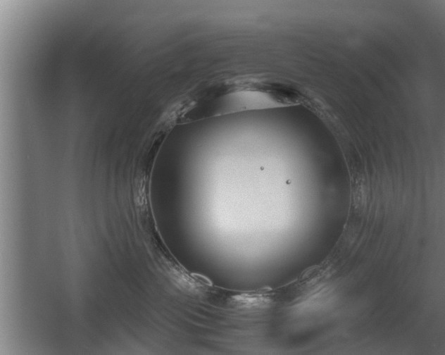 X0000060570477200511071024