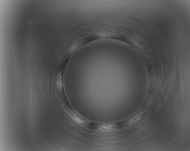 X0000060570479200511071024