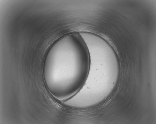 X0000060570481200511071023