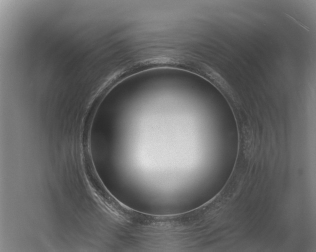 X0000060570482200511071023