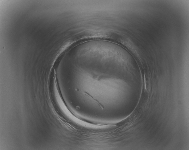 X0000060570483200511071023