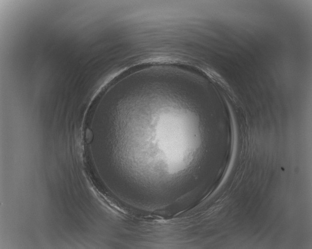 X0000060570484200511071023