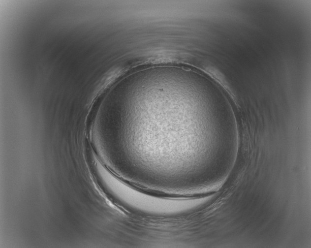 X0000060570485200511071023