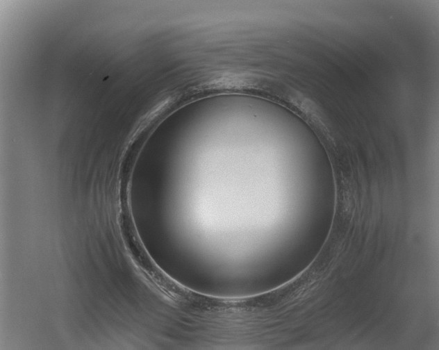 X0000060570486200511071023