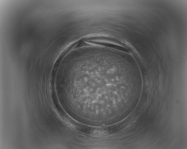 X0000060570487200511071023