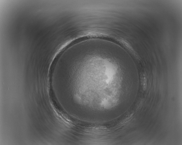 X0000060570488200511071023