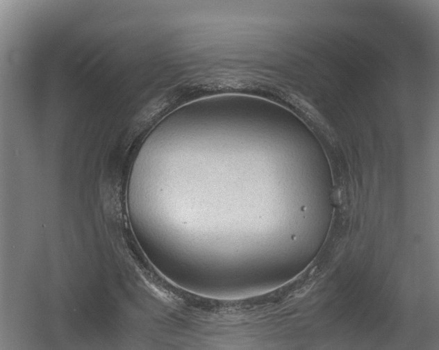 X0000060570489200511071023