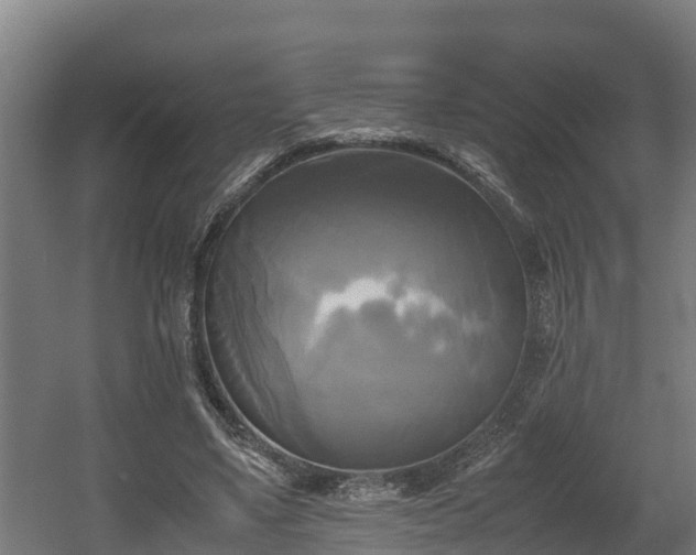 X0000060570491200511071023