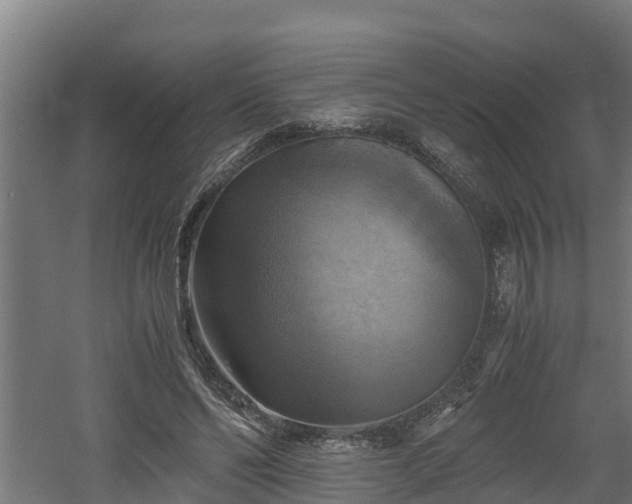 X0000060570494200511071023