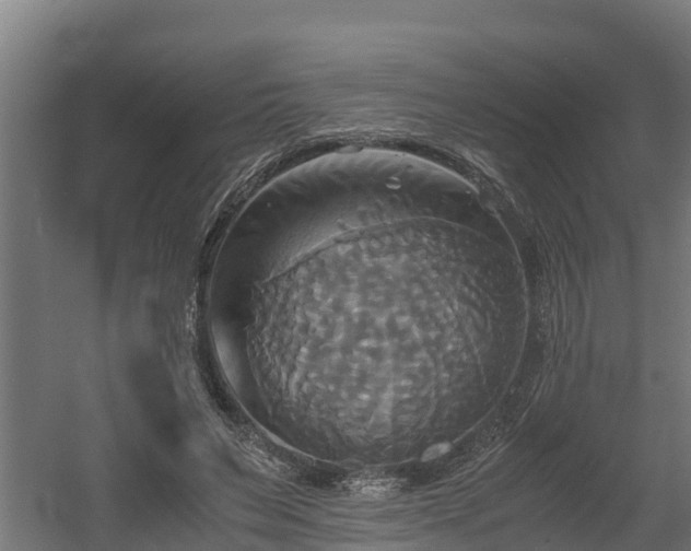 X0000060570495200511071023