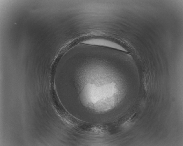 X0000060570496200511071023