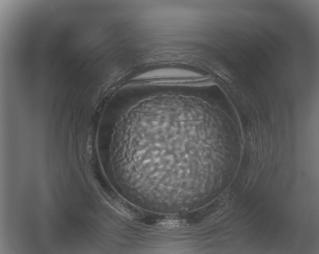 X0000060570499200511071023