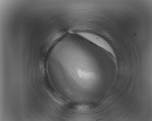 X0000060570500200511071023