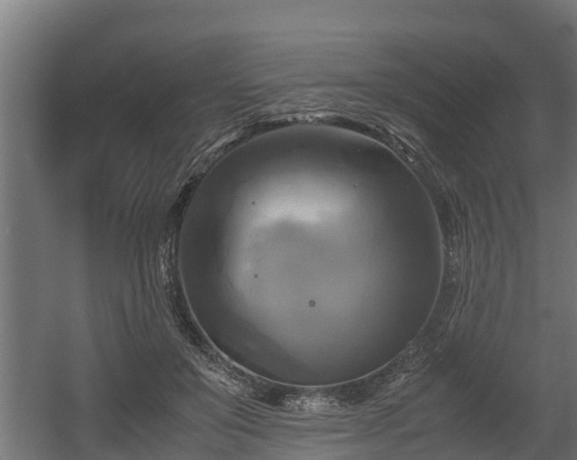 X0000060570503200511071023