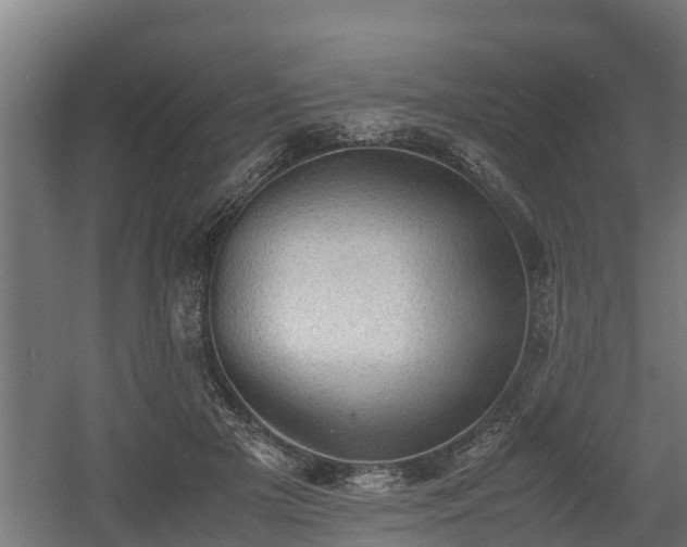 X0000060570505200511071023